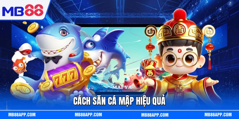 Cách săn cá mập hiệu quả